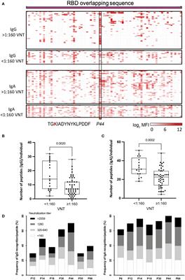 Immunodominant antibody responses directed to SARS-CoV-2 hotspot mutation sites and risk of immune escape